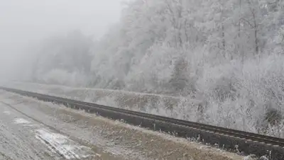 pxhere.com, фото - Новости Zakon.kz от 08.11.2019 15:07