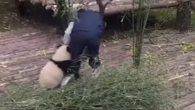 Zakon.kz, фото - Новости Zakon.kz от 24.02.2017 13:47