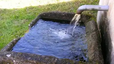 Pixabay, фото - Новости Zakon.kz от 28.10.2020 00:26