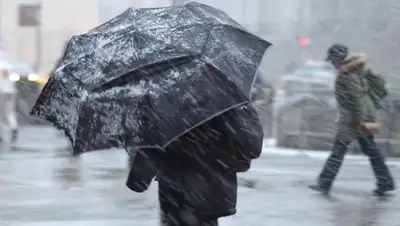 24kz, фото - Новости Zakon.kz от 19.01.2020 15:45