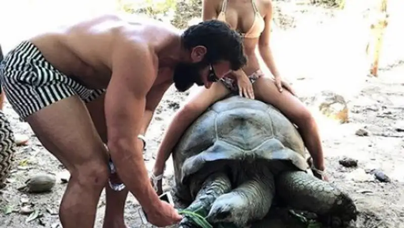 «Короля Instagram» раскритиковали за фото подружки на столетней черепахе
