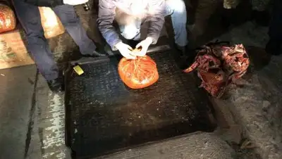 Пресс-служба ДВД Акмолинской области, фото - Новости Zakon.kz от 17.03.2018 14:30