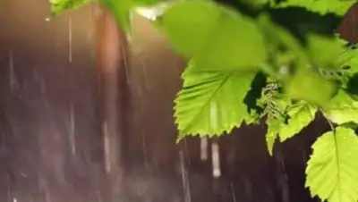 Хабар 24, фото - Новости Zakon.kz от 25.04.2018 09:20