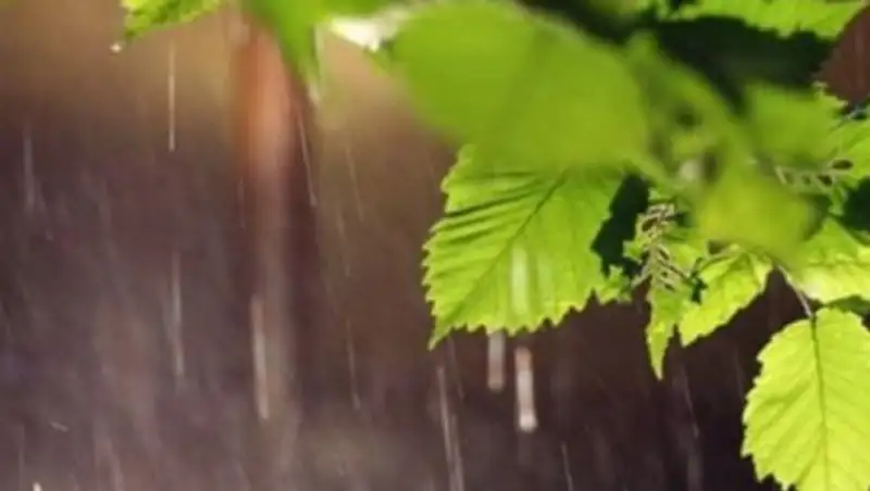 Дожди и сильный ветер ожидаются в Казахстане