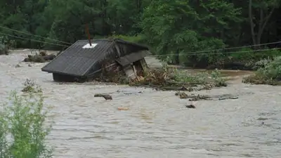 Zakon.kz, фото - Новости Zakon.kz от 18.08.2014 16:17