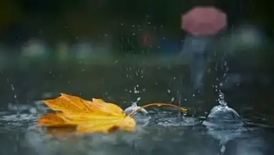 Zakon.kz, фото - Новости Zakon.kz от 05.10.2017 06:00