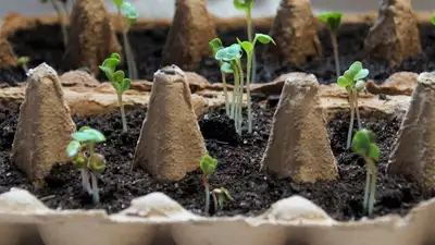 земля, фото - Новости Zakon.kz от 06.03.2023 13:29