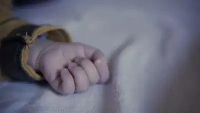 wize.life, фото - Новости Zakon.kz от 17.01.2020 21:04