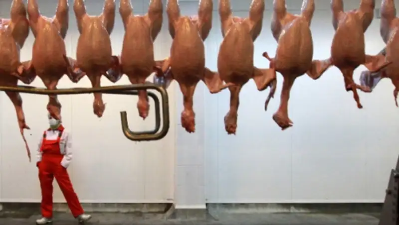 Россия запретит транзит мяса птицы из США в Казахстан с 10 июня