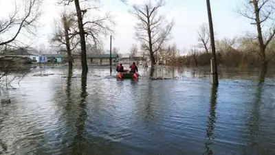 YK-news.kz, фото - Новости Zakon.kz от 30.03.2018 09:29