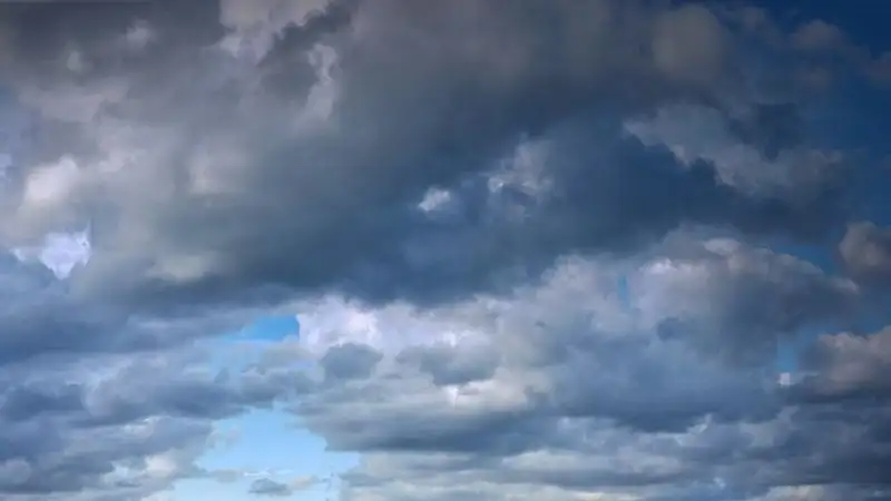 Туман и сильные ветры: в столице и восьми областях объявили штормовое предупреждение