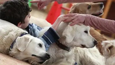 РИА Новости, фото - Новости Zakon.kz от 16.12.2017 19:45