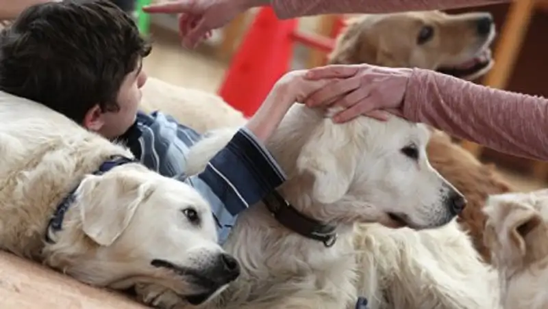 Любителей потискать щенков предупредили об опасной инфекции