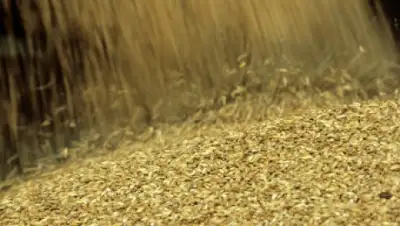 Zakon.kz, фото - Новости Zakon.kz от 22.05.2015 19:34