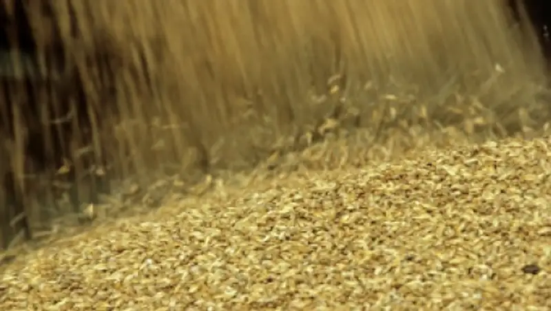 Казахстан в пять раз может увеличить поставки зерна в Иран в 2015 году - Назарбаев