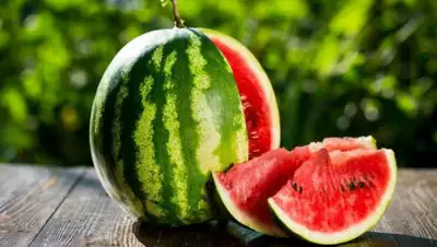 east-fruit, фото - Новости Zakon.kz от 19.07.2020 10:03