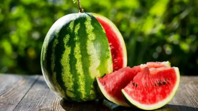 Как правильно выбрать вкусный арбуз и дыню, объяснили специалисты