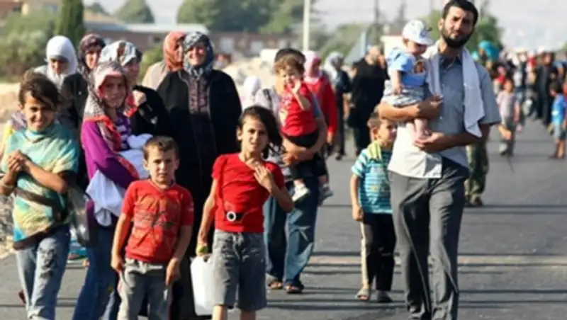 Почти три тысячи мигрантов за день пересекли границу Хорватии и Словении 