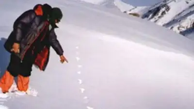 Zakon.kz, фото - Новости Zakon.kz от 31.03.2014 14:50