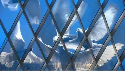 Zakon.kz, фото - Новости Zakon.kz от 15.02.2015 16:10