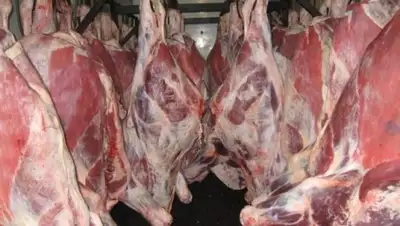 bpb.by, фото - Новости Zakon.kz от 07.02.2019 16:34