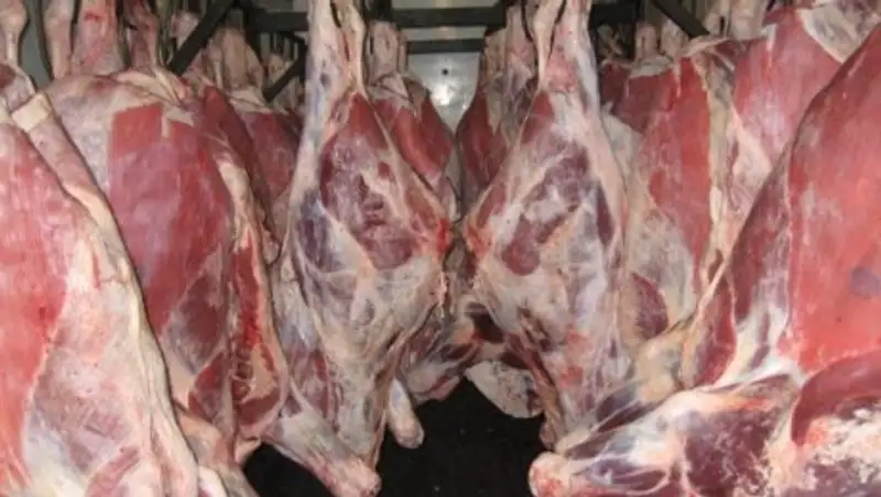 Шукеев об экспорте мяса: Надо как-то приблизиться к цифре 60 тысяч тонн