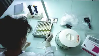 ТАСС, фото - Новости Zakon.kz от 09.11.2018 08:37