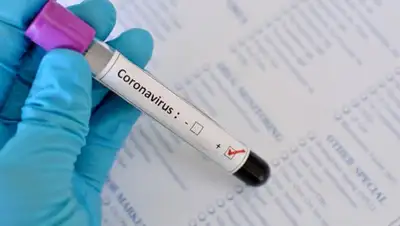 pixabay.com, фото - Новости Zakon.kz от 20.05.2020 16:54