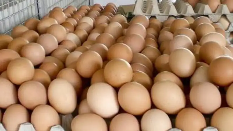 В Алматы утвердят допустимые цены на куриные яйца