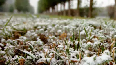 inform.kz, фото - Новости Zakon.kz от 24.05.2019 17:15