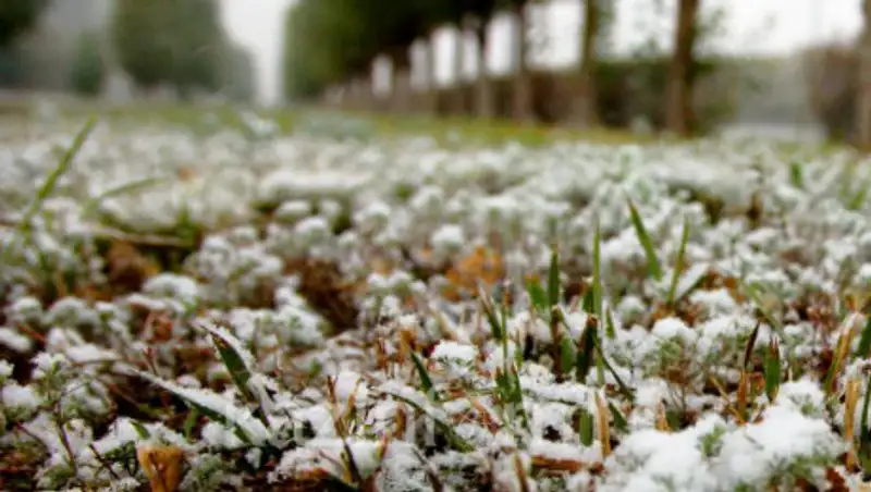 Заморозки и снег – штормовое предупреждение в регионах РК