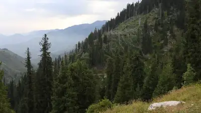 Алматы, фото - Новости Zakon.kz от 10.06.2022 20:44