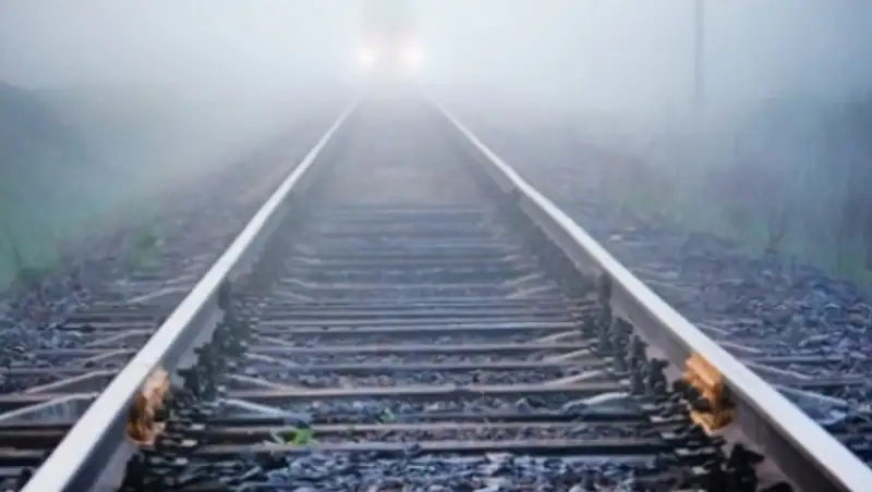 В ЗКО грузовой поезд сбил двух мужчин