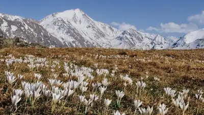 Zakon.kz, фото - Новости Zakon.kz от 19.03.2015 15:01