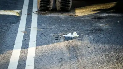 Zakon.kz, фото - Новости Zakon.kz от 10.12.2015 21:37