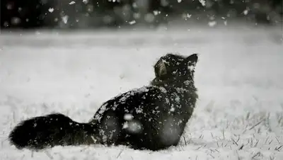 Zakon.kz, фото - Новости Zakon.kz от 22.12.2014 15:01