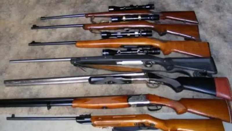 Запретить длинноствольное нарезное оружие предлагают в Казахстане