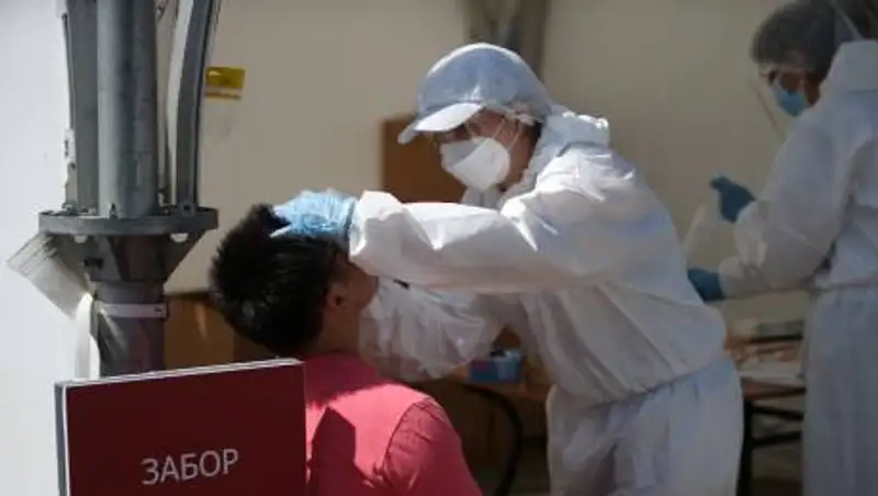 В ВОЗ рассказали о частоте мутации COVID-19