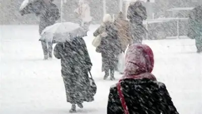 Zakon.kz, фото - Новости Zakon.kz от 05.11.2015 12:01