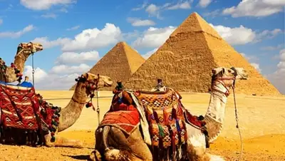 Zakon.kz, фото - Новости Zakon.kz от 17.11.2015 14:47