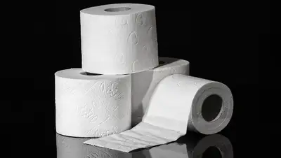 Pixabay, фото - Новости Zakon.kz от 28.02.2020 19:18