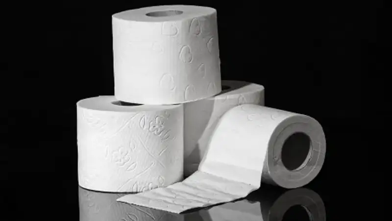 В петропавловские школы вместо бумаги для принтера закупили туалетную