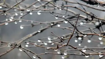 Zakon.kz, фото - Новости Zakon.kz от 23.04.2017 12:00