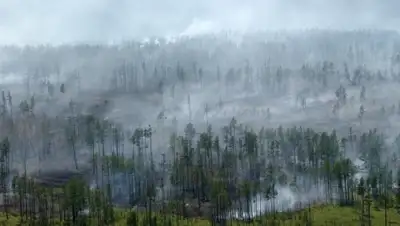 Zakon.kz, фото - Новости Zakon.kz от 25.06.2015 15:42