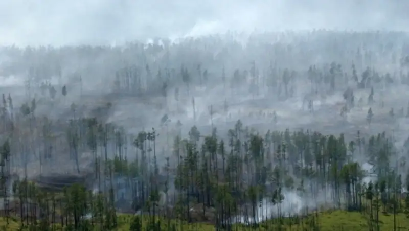 Площадь лесных пожаров в Забайкалье продолжает расти, горят 750 га леса