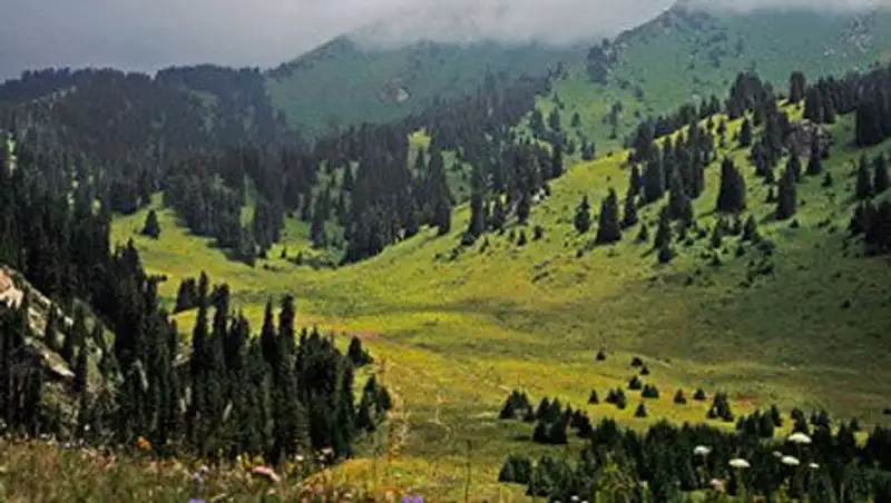 Горнолыжный курорт «Кокжайлау» хотят построить на землях Иле-Алатауского нацпарка