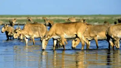 Zakon.kz, фото - Новости Zakon.kz от 24.11.2013 16:09