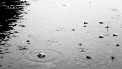 Zakon.kz, фото - Новости Zakon.kz от 13.04.2016 12:00