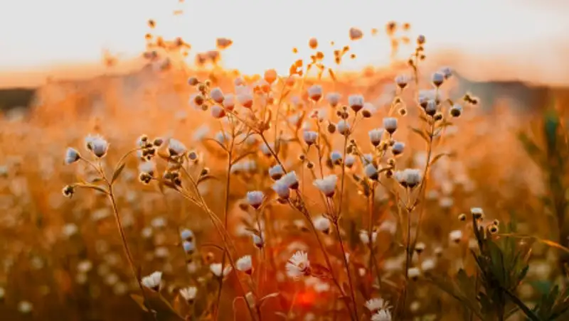 1 июня на территории республики сохраняется жаркая погода без осадков