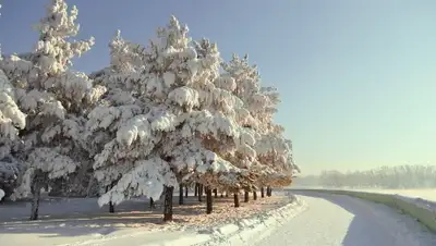 Zakon.kz, фото - Новости Zakon.kz от 17.01.2015 17:38